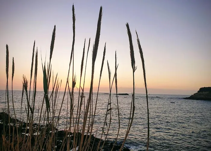 Mareverde H2 Wifi Vue